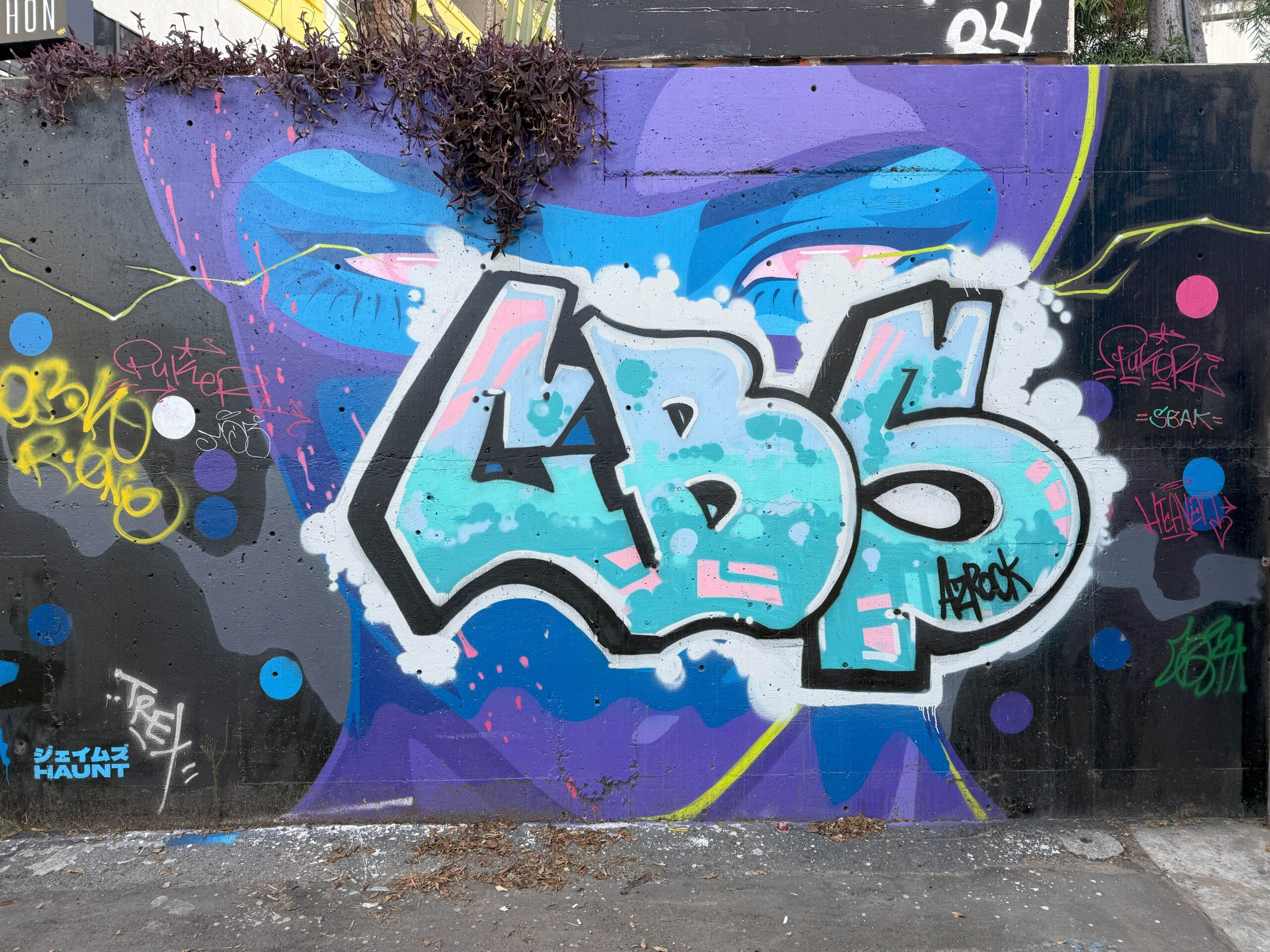 San Pedro Street, Los Angeles — February 20, 2025