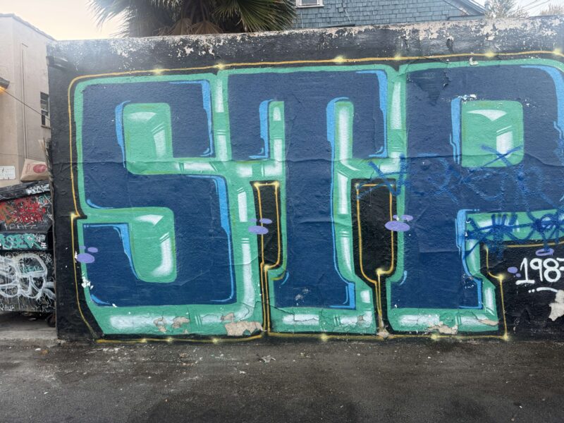 Bubble letter graffiti piece by SFE on North Avenue 55, Highland Park, Los Angeles, 2026