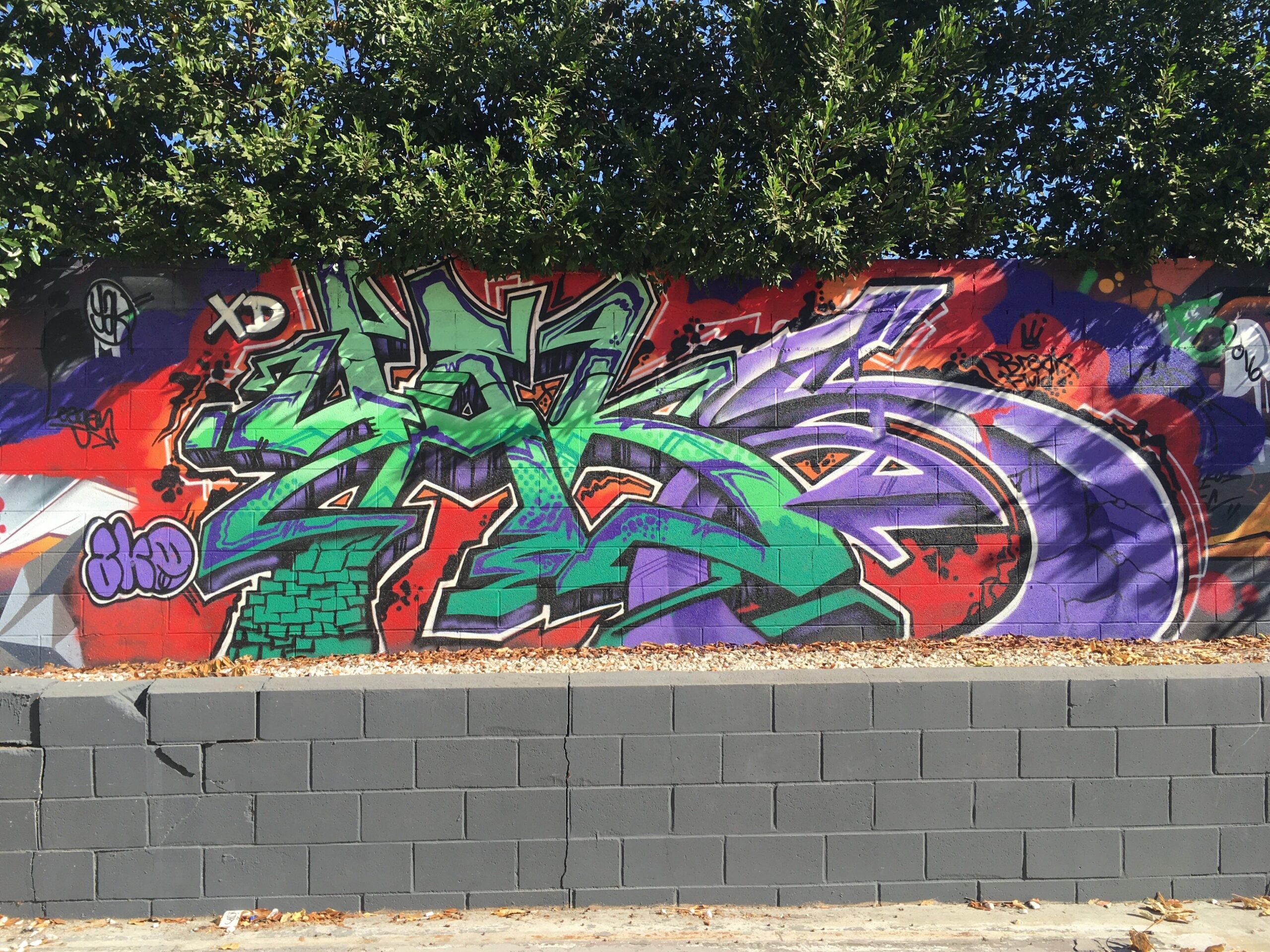 Wildstyle graffiti burner by SONIK and REMER on South Pasadena Avenue, Pasadena, 2016