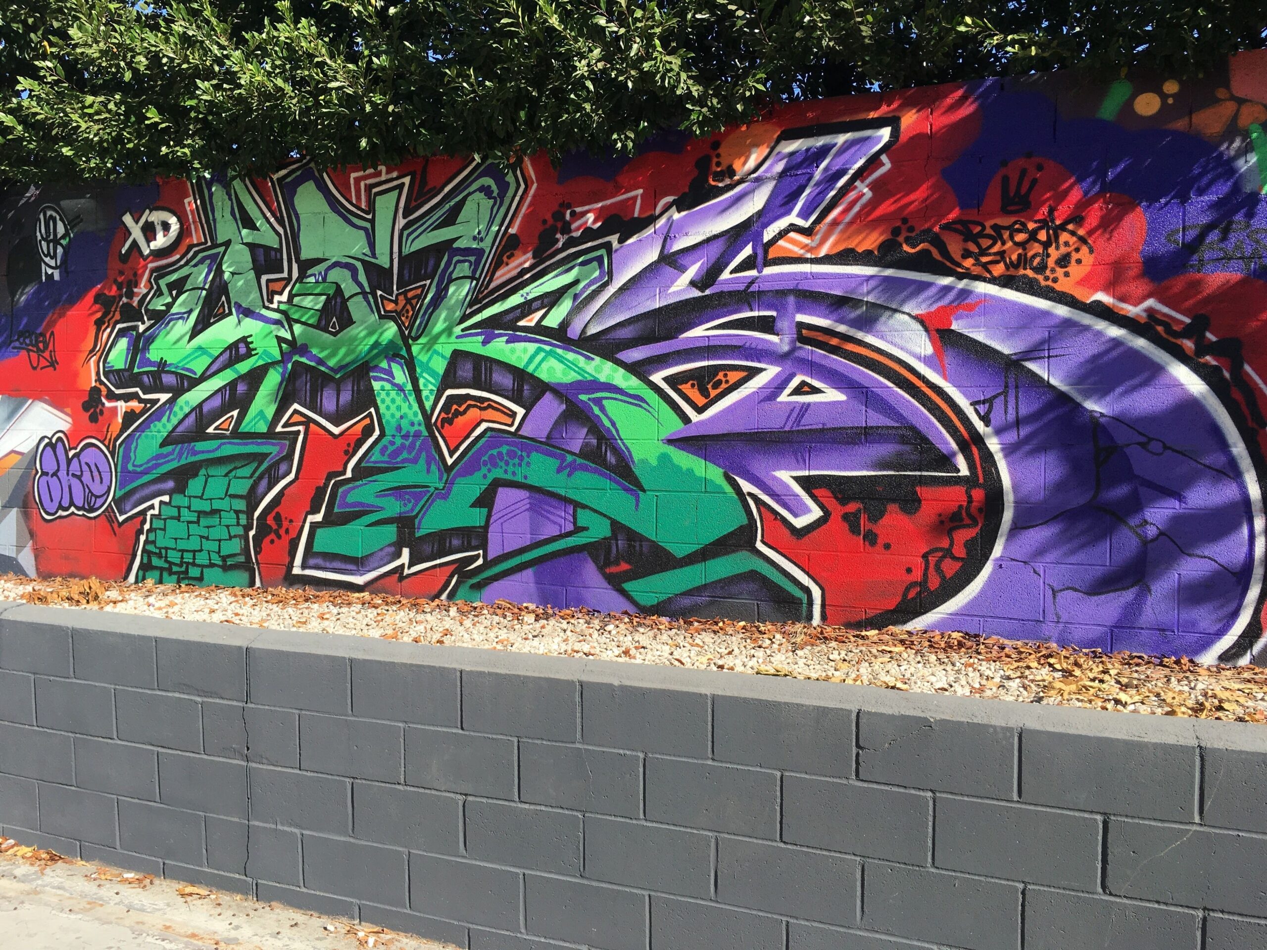 South Pasadena Avenue, Pasadena โ September 17, 2016