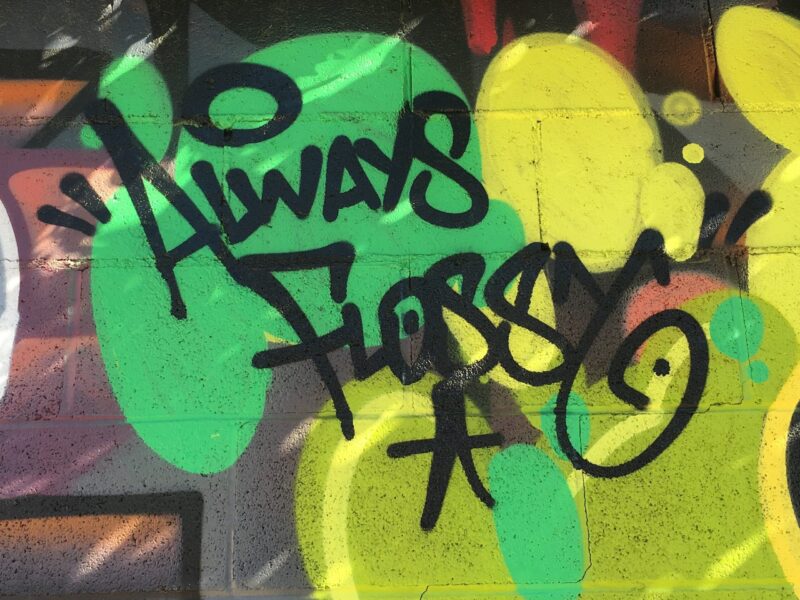 Bubble throwup graffiti by FLOSSY on South Pasadena Avenue, Pasadena, 2016