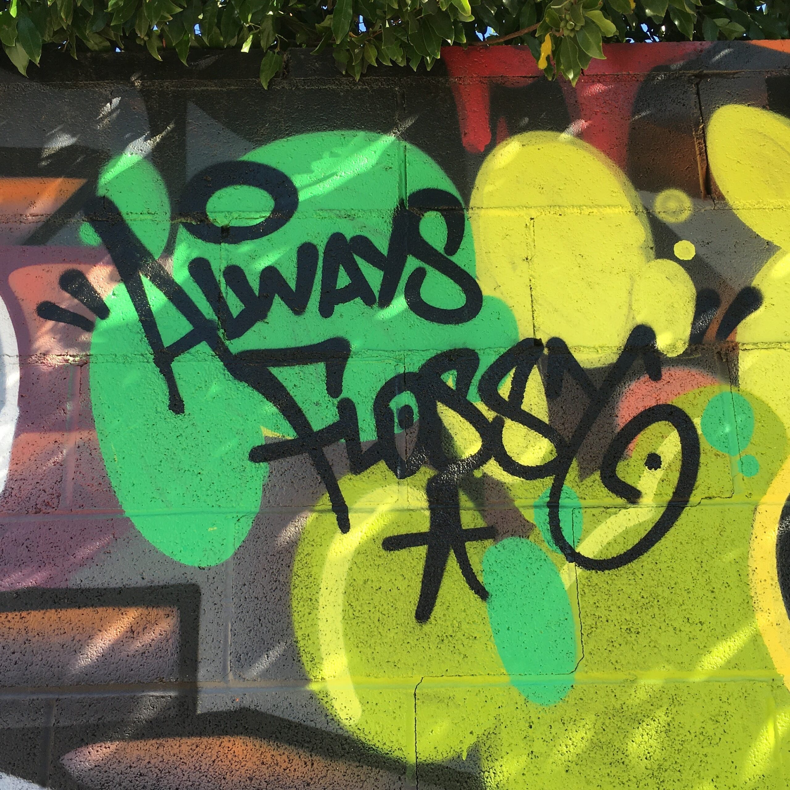 South Pasadena Avenue, Pasadena โ September 17, 2016
